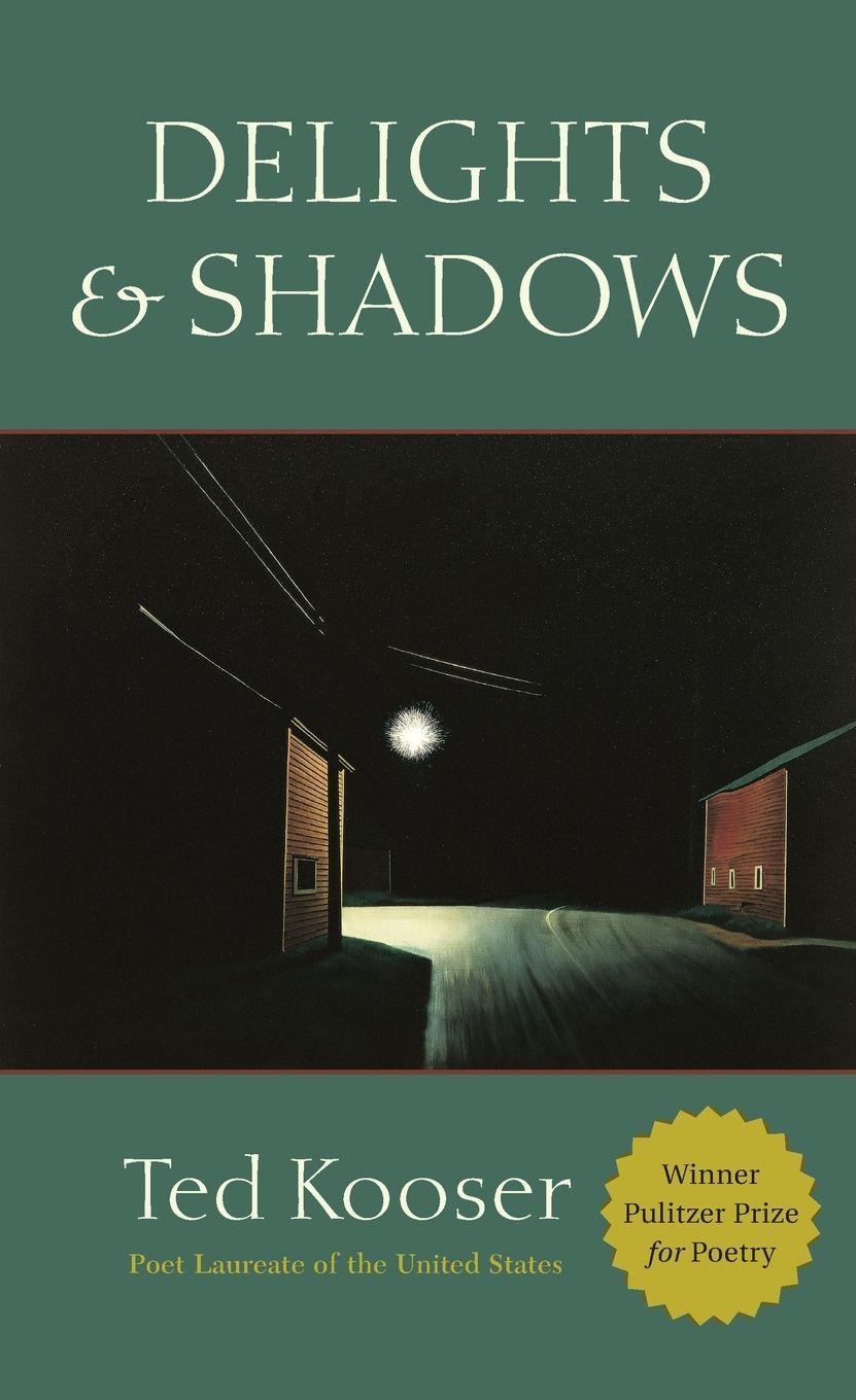 Vorderes Coverbild Delights & Shadows