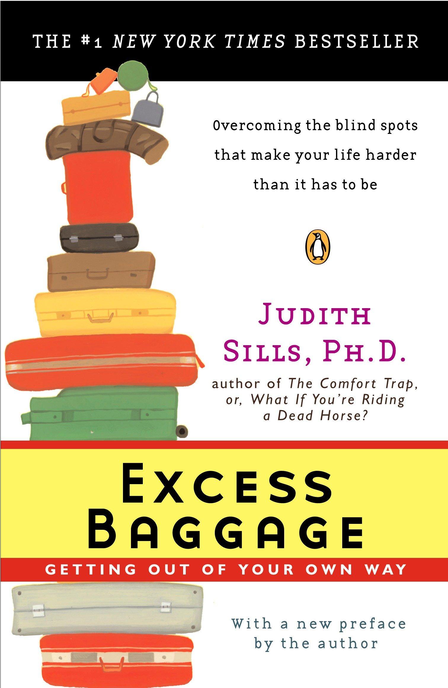 Vorderes Coverbild Excess Baggage