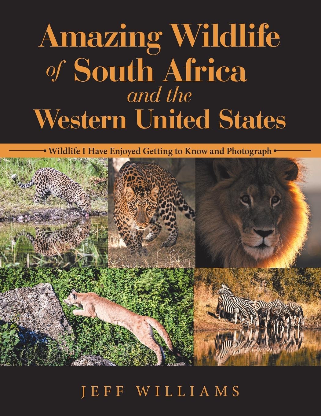 Vorderes Coverbild Amazing Wildlife of South Africa and the Western United States
