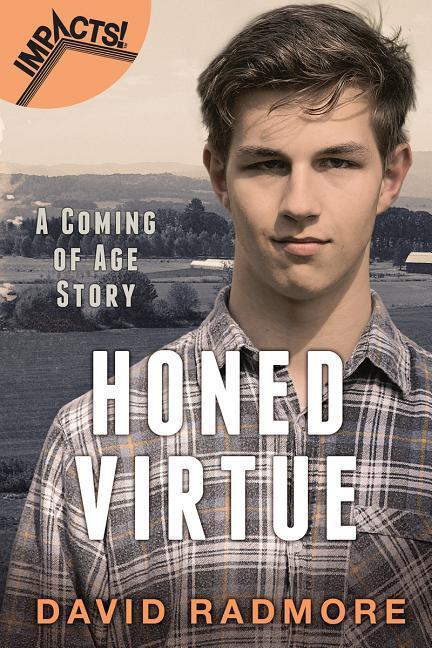 Vorderes Coverbild Honed Virtue: A Coming of Age Story
