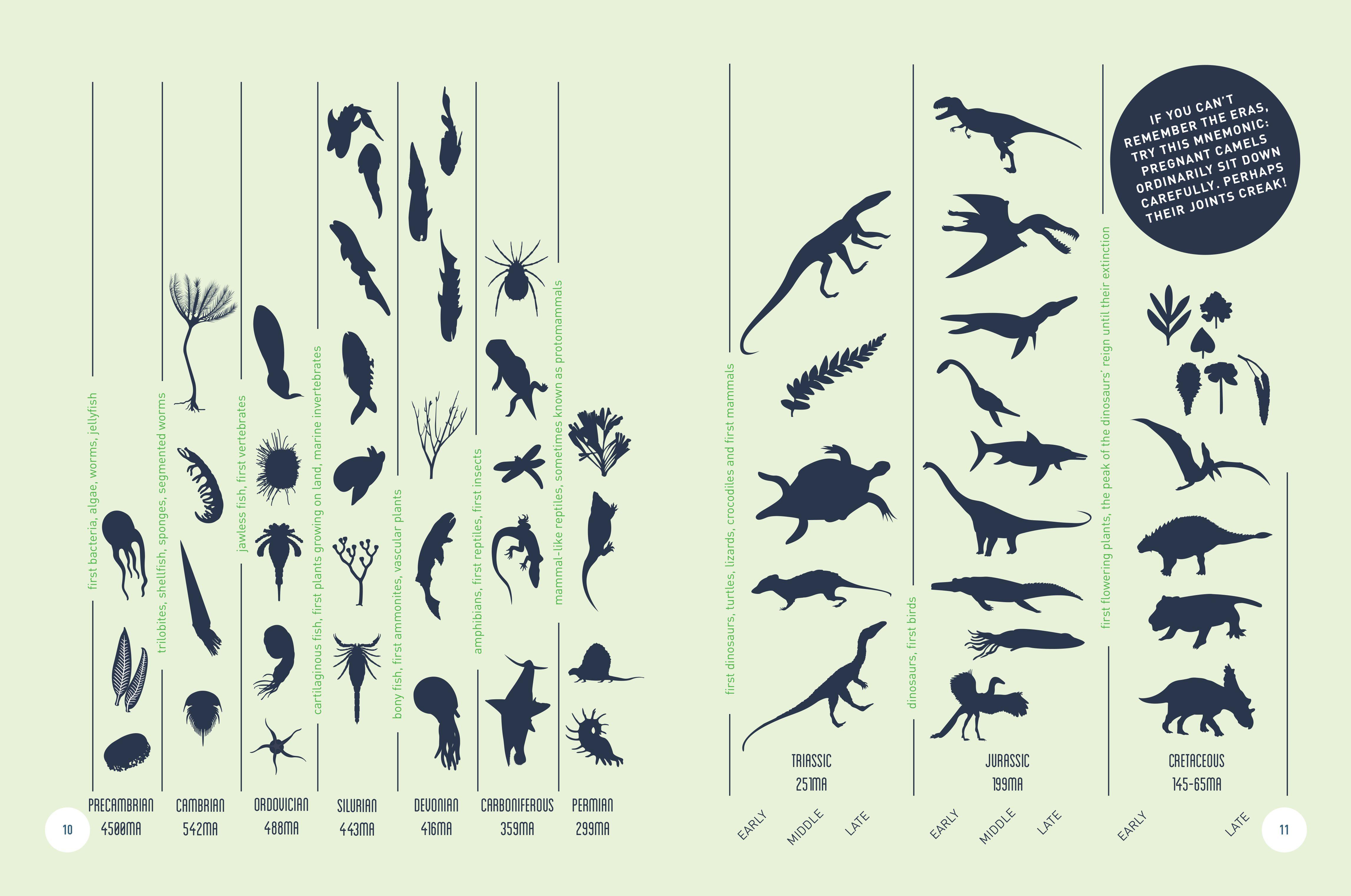Beispielinhalt (Bild) Dinosaurs - The Grand Tour, Second Edition