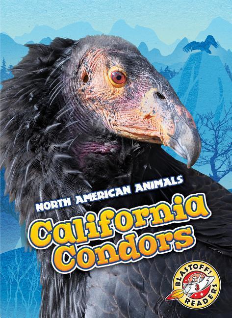 Vorderes Coverbild California Condors