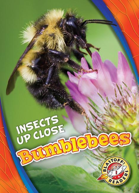 Vorderes Coverbild Bumblebees