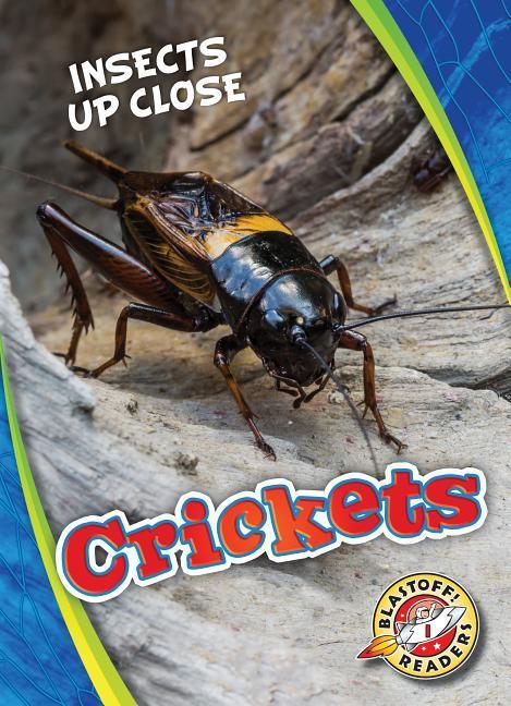 Vorderes Coverbild Crickets