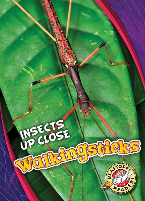 Vorderes Coverbild Walkingsticks
