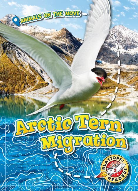 Vorderes Coverbild Arctic Tern Migration