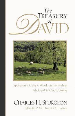 Vorderes Coverbild The Treasury of David