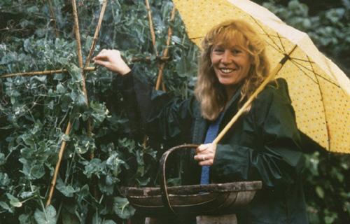 Autorenbild The Insomniac's Best Friend