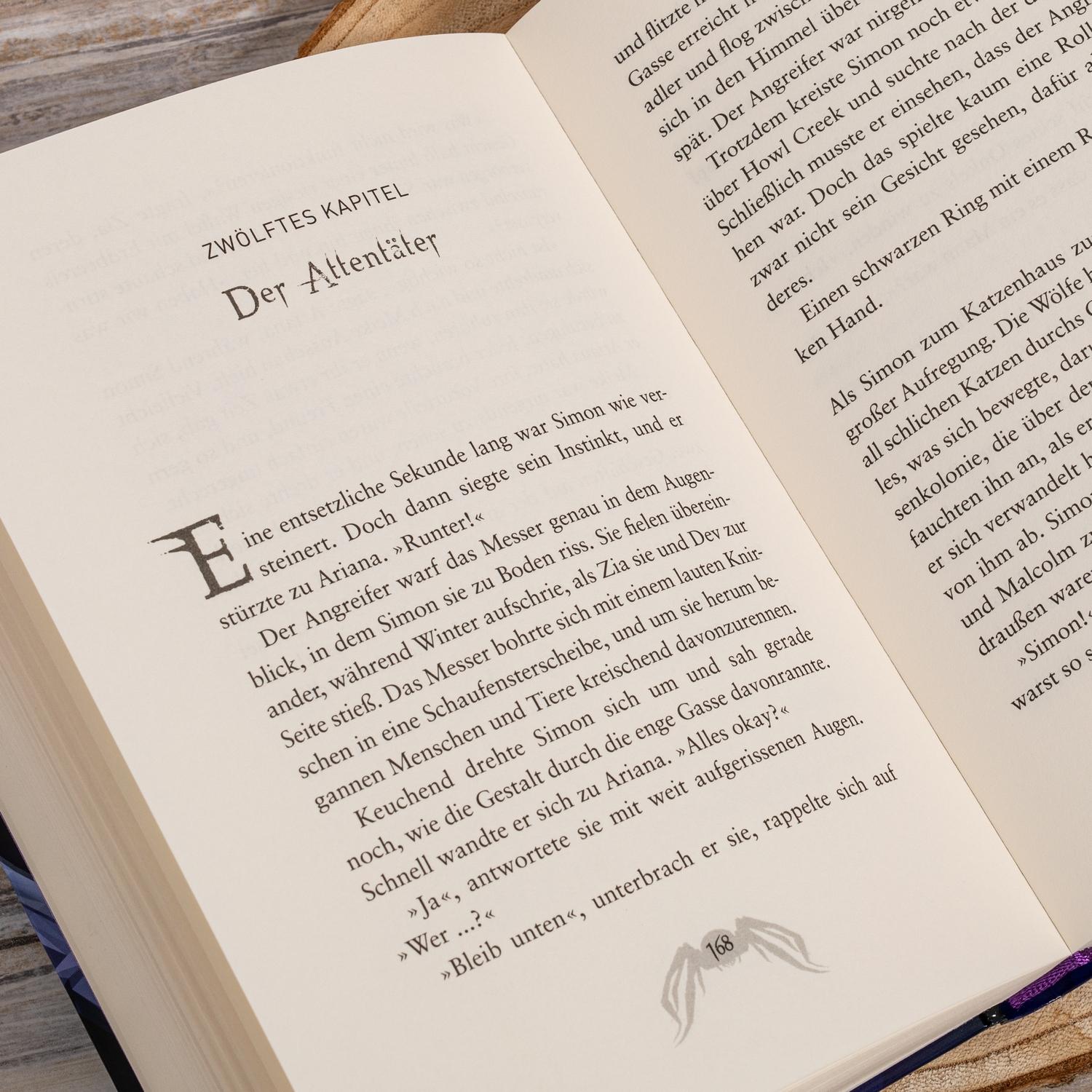 Beispielinhalt (Bild) Animox 04. Der Biss der Schwarzen Witwe