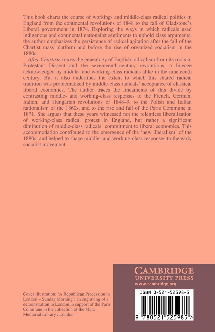 Rückseitencover After Chartism