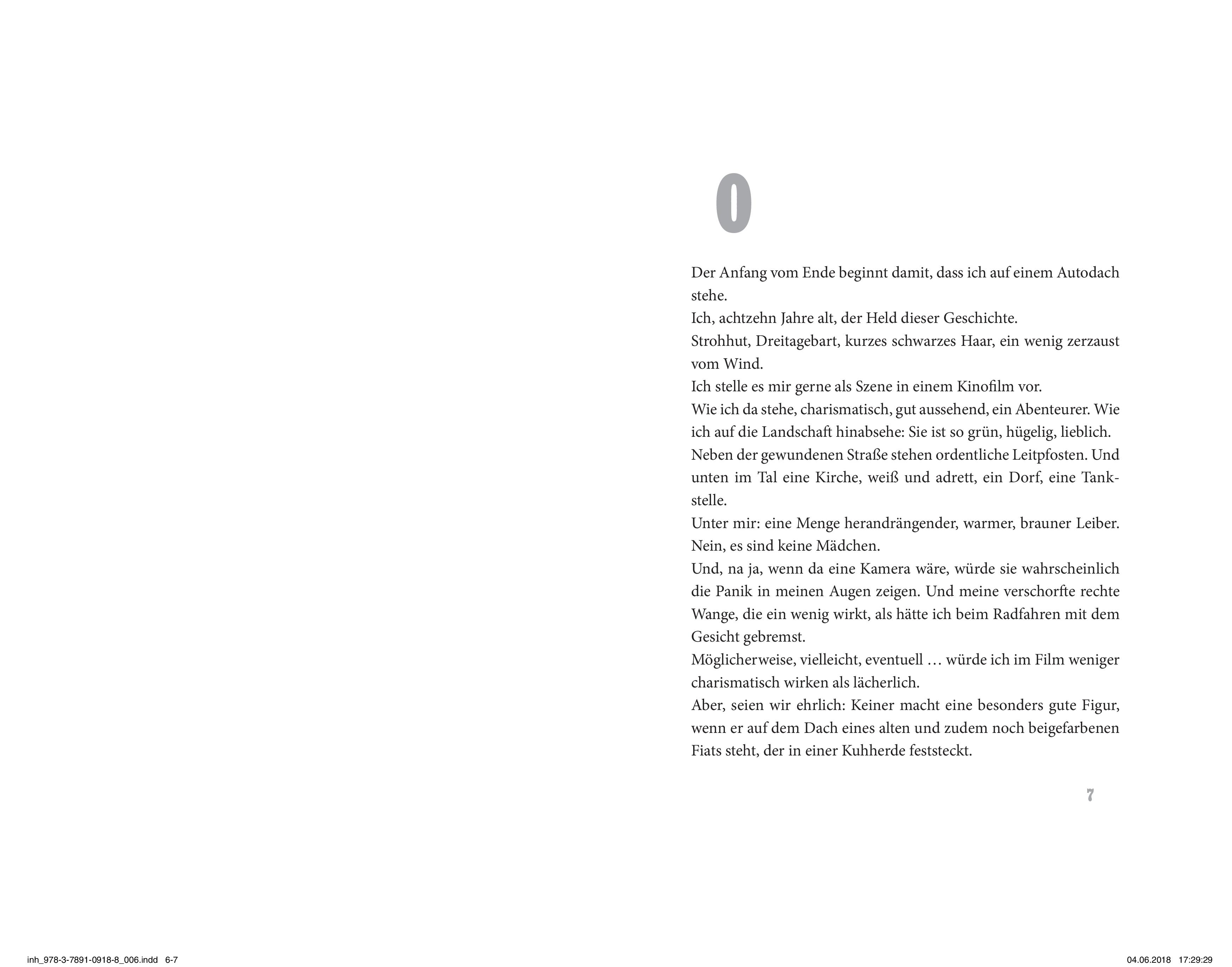 Beispielinhalt (Bild) Tankstellenchips