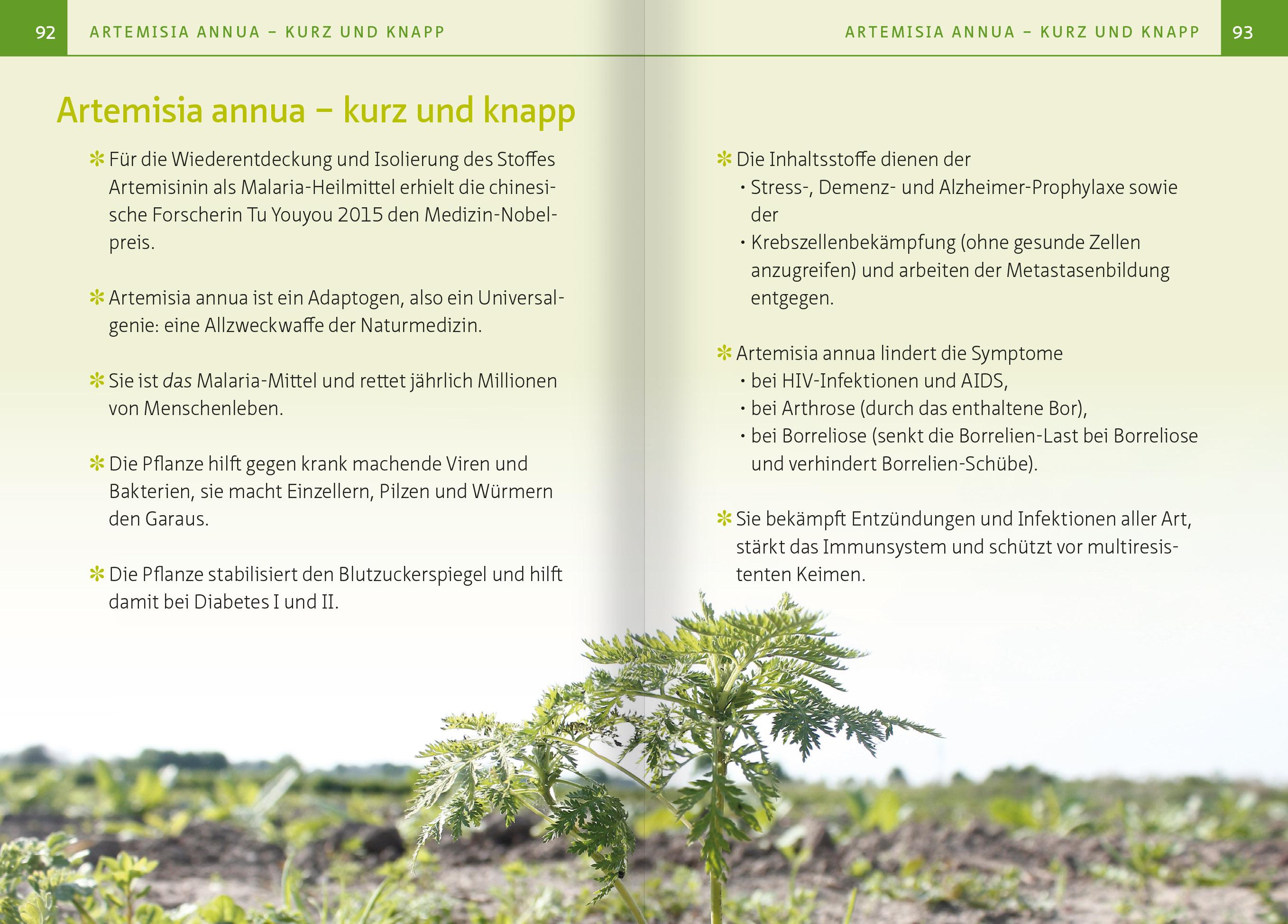 Beispielinhalt (Bild) Artemisia annua - Heilpflanze der Götter. Kompakt-Ratgeber