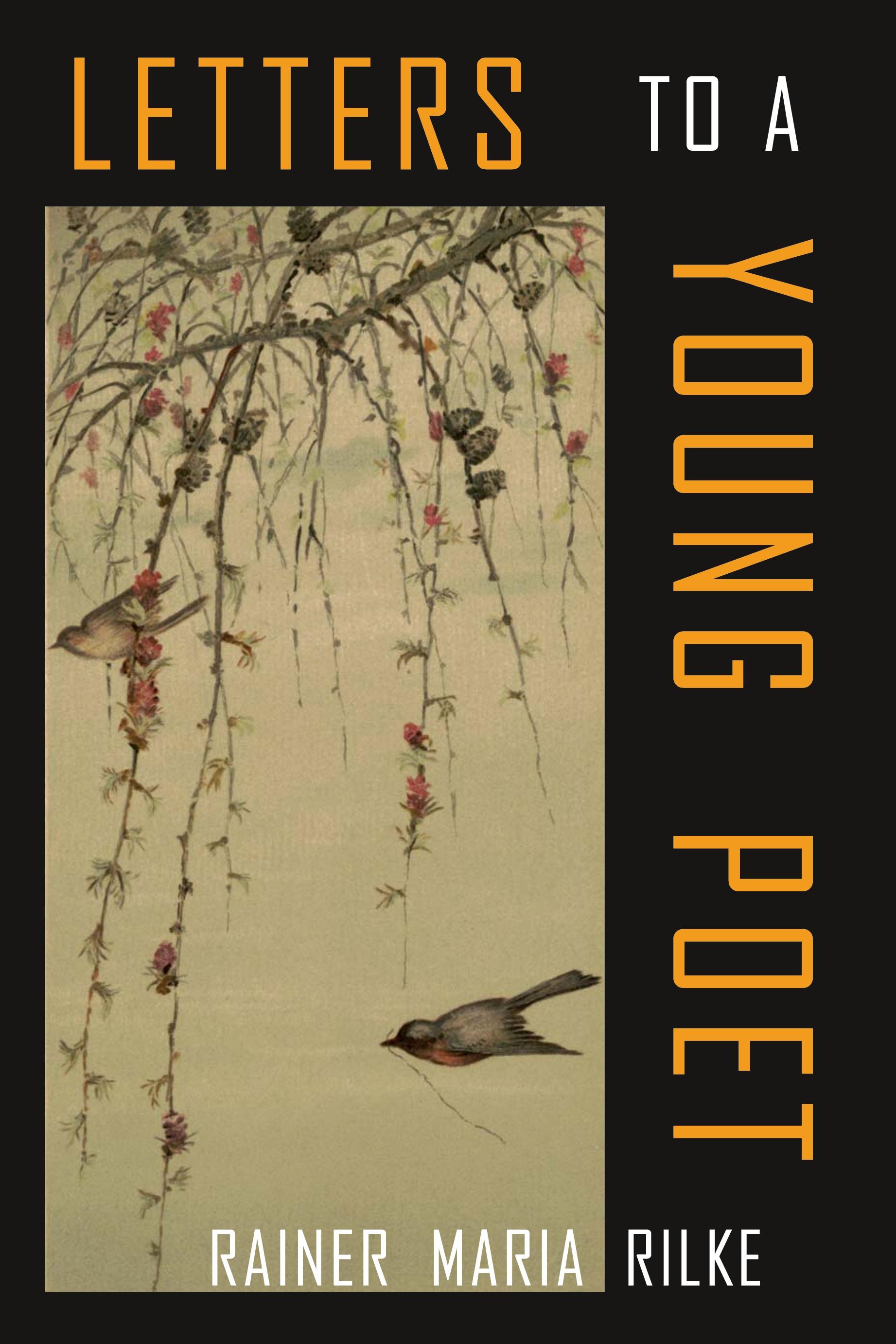 Vorderes Coverbild Letters to a Young Poet