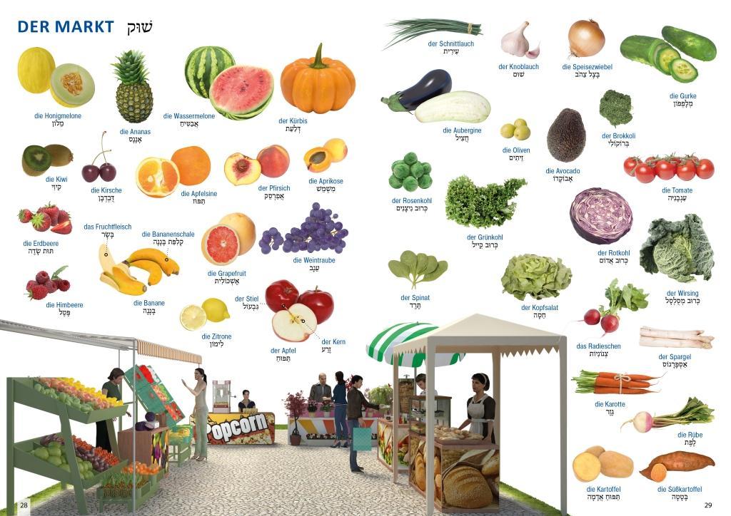 Beispielinhalt (Bild) Bildwörterbuch für Kinder und Eltern Hebräisch-Deutsch