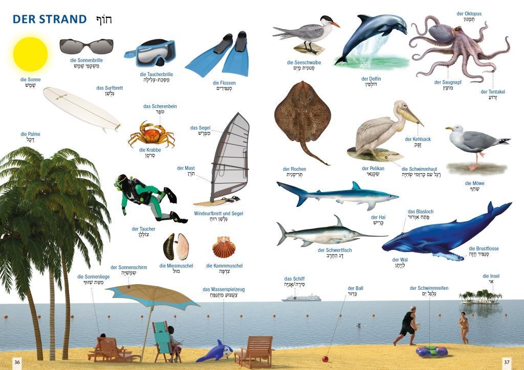Beispielinhalt (Bild) Bildwörterbuch für Kinder und Eltern Hebräisch-Deutsch