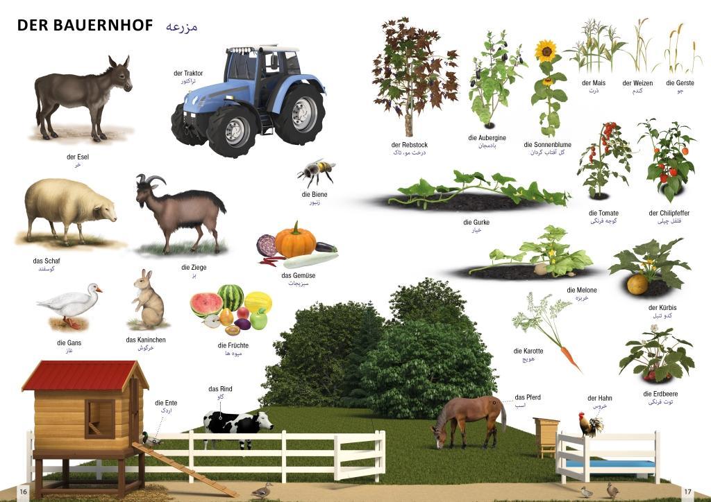 Beispielinhalt (Bild) Bildwörterbuch für Kinder und Eltern Persisch-Deutsch