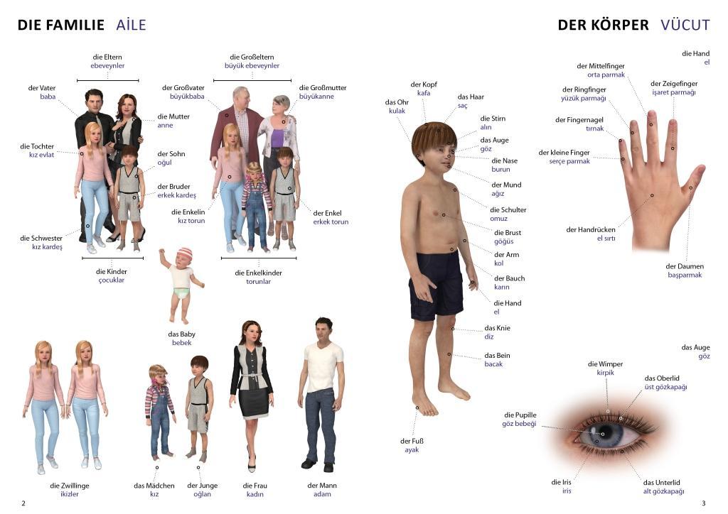 Beispielinhalt (Bild) Bildwörterbuch für Kinder und Eltern Türkisch-Deutsch
