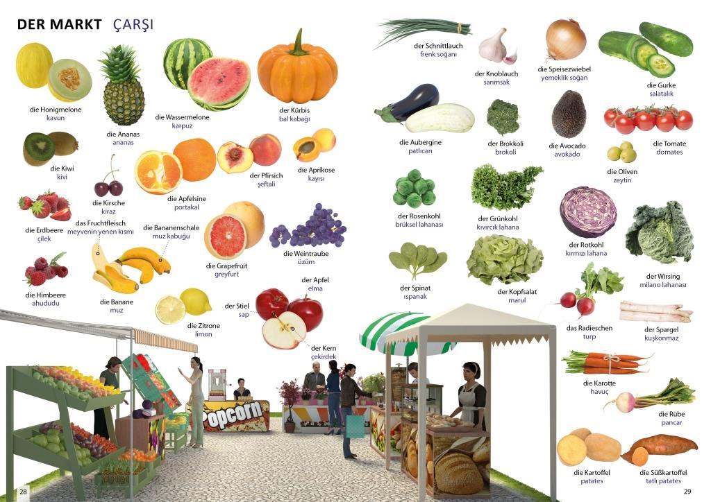 Beispielinhalt (Bild) Bildwörterbuch für Kinder und Eltern Türkisch-Deutsch