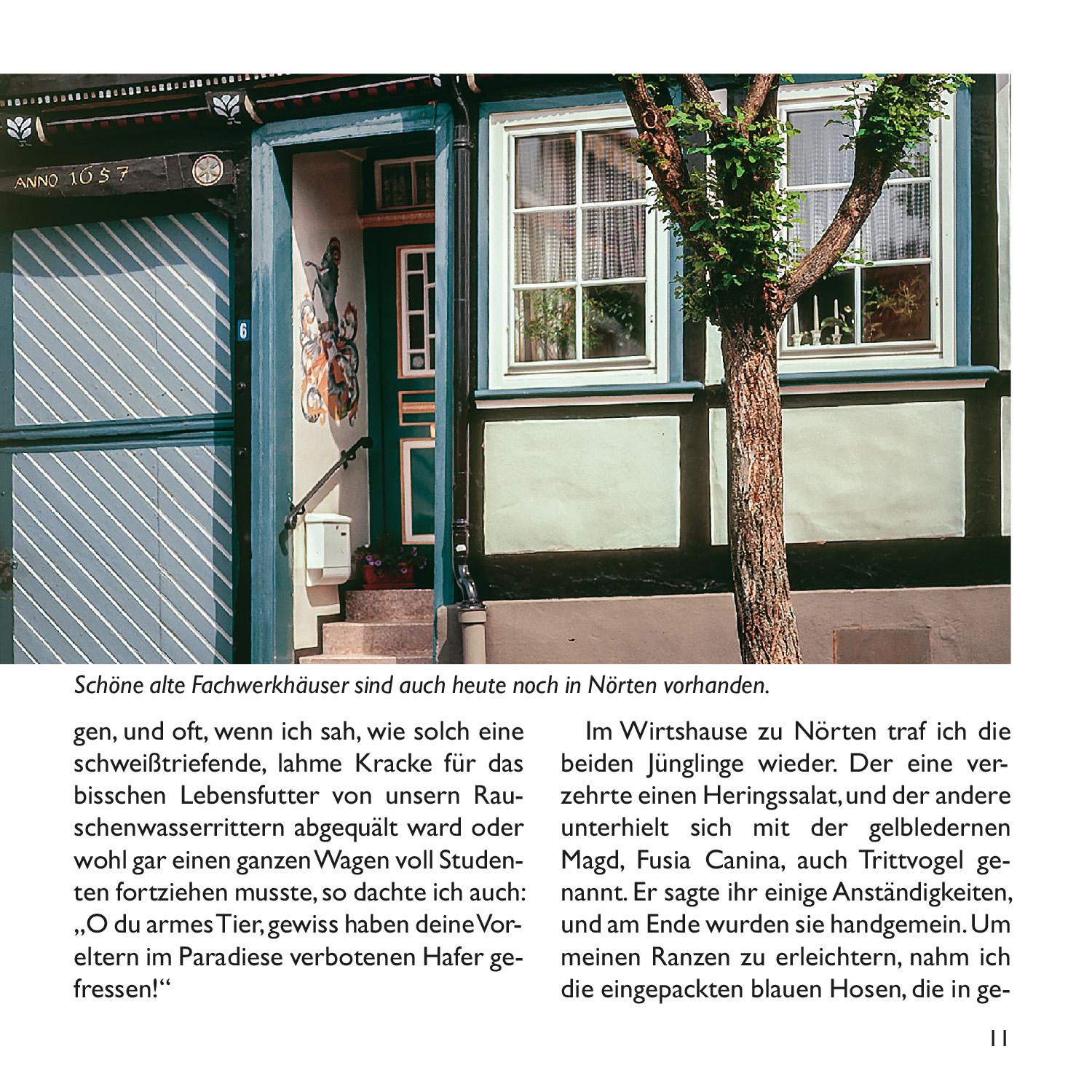 Beispielinhalt (Bild) Die Harzreise