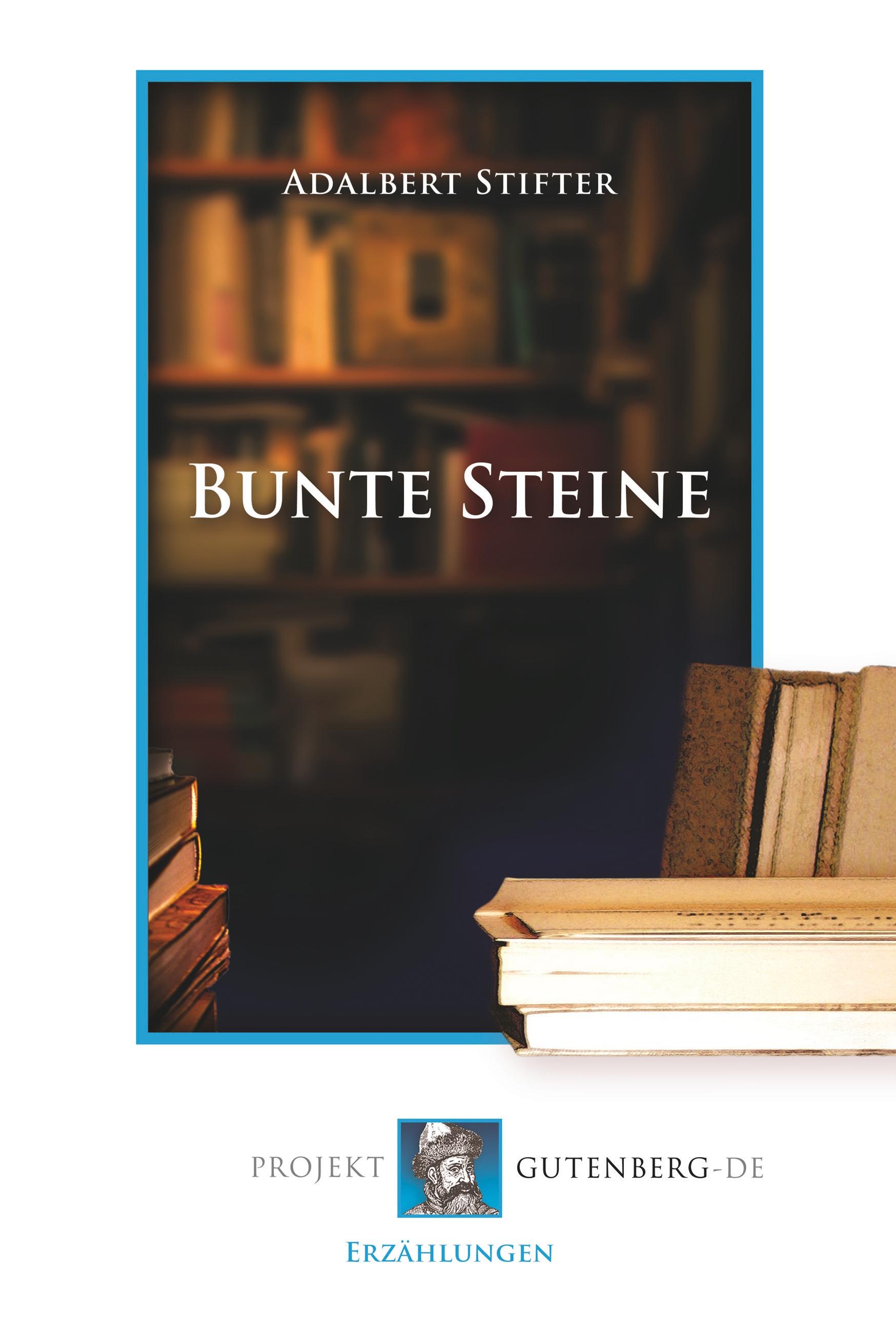 Vorderes Coverbild Bunte Steine