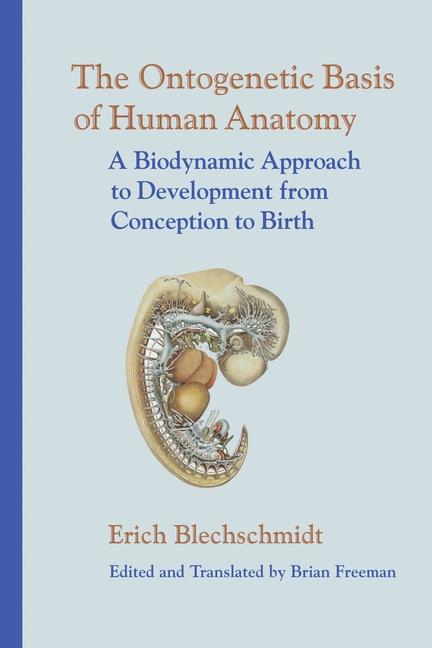 Vorderes Coverbild The Ontogenetic Basis of Human Anatomy