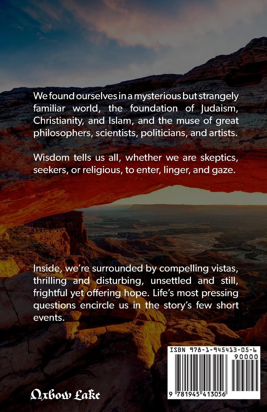 Rückseitencover The Saga