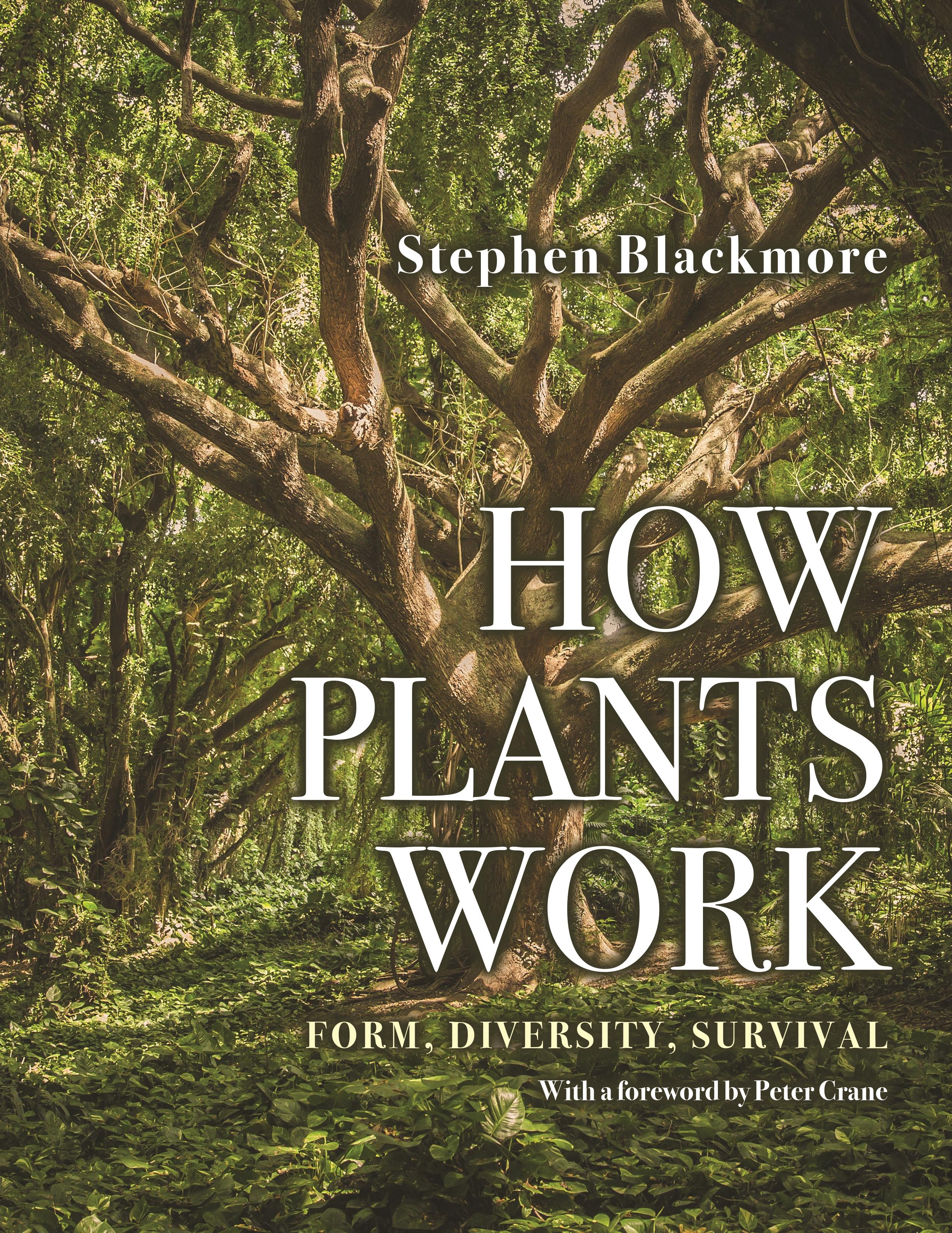 Vorderes Coverbild How Plants Work