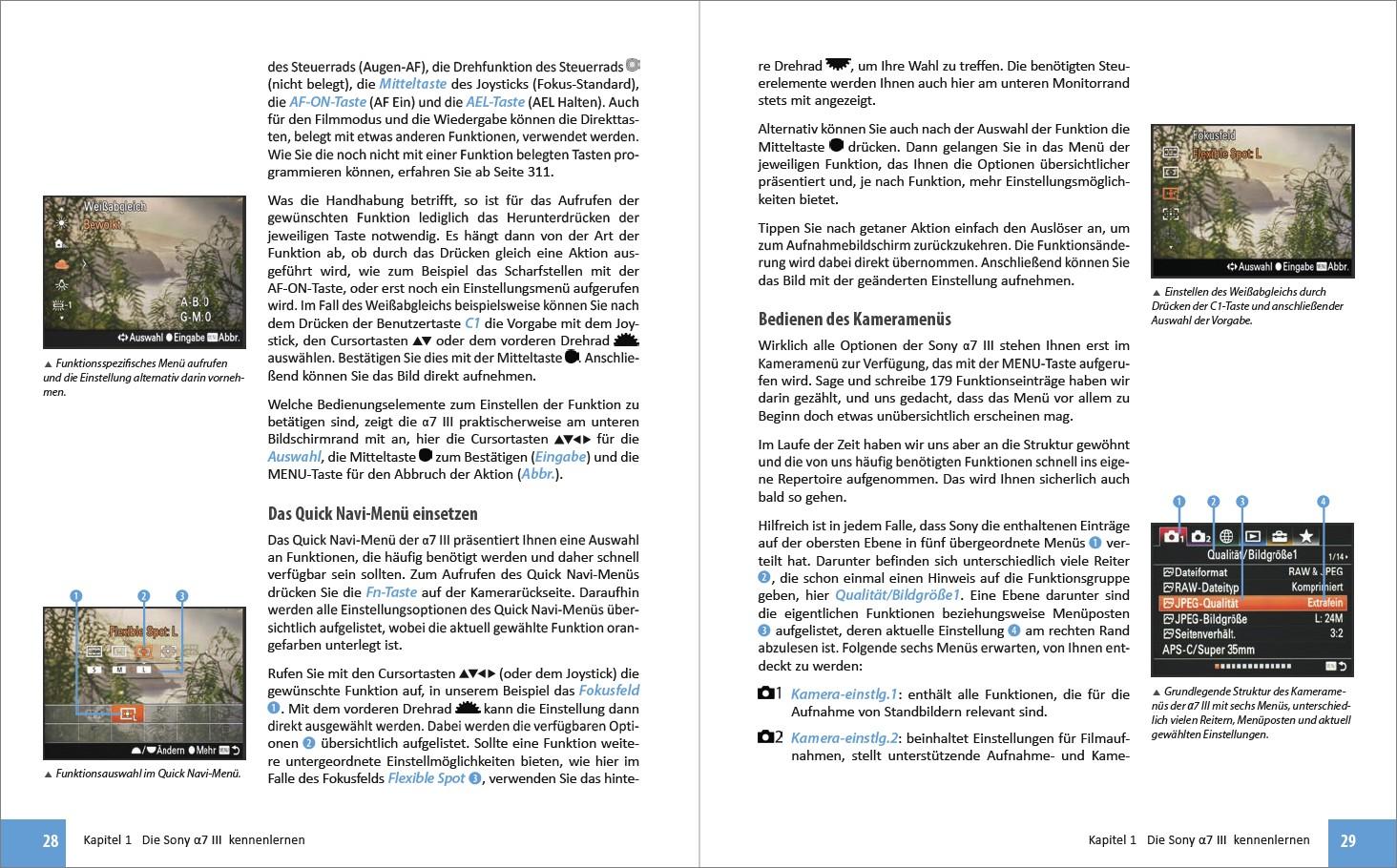 Beispielinhalt (Bild) Sony A7 III