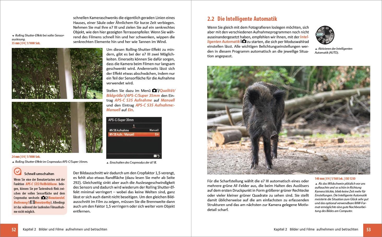 Beispielinhalt (Bild) Sony A7 III