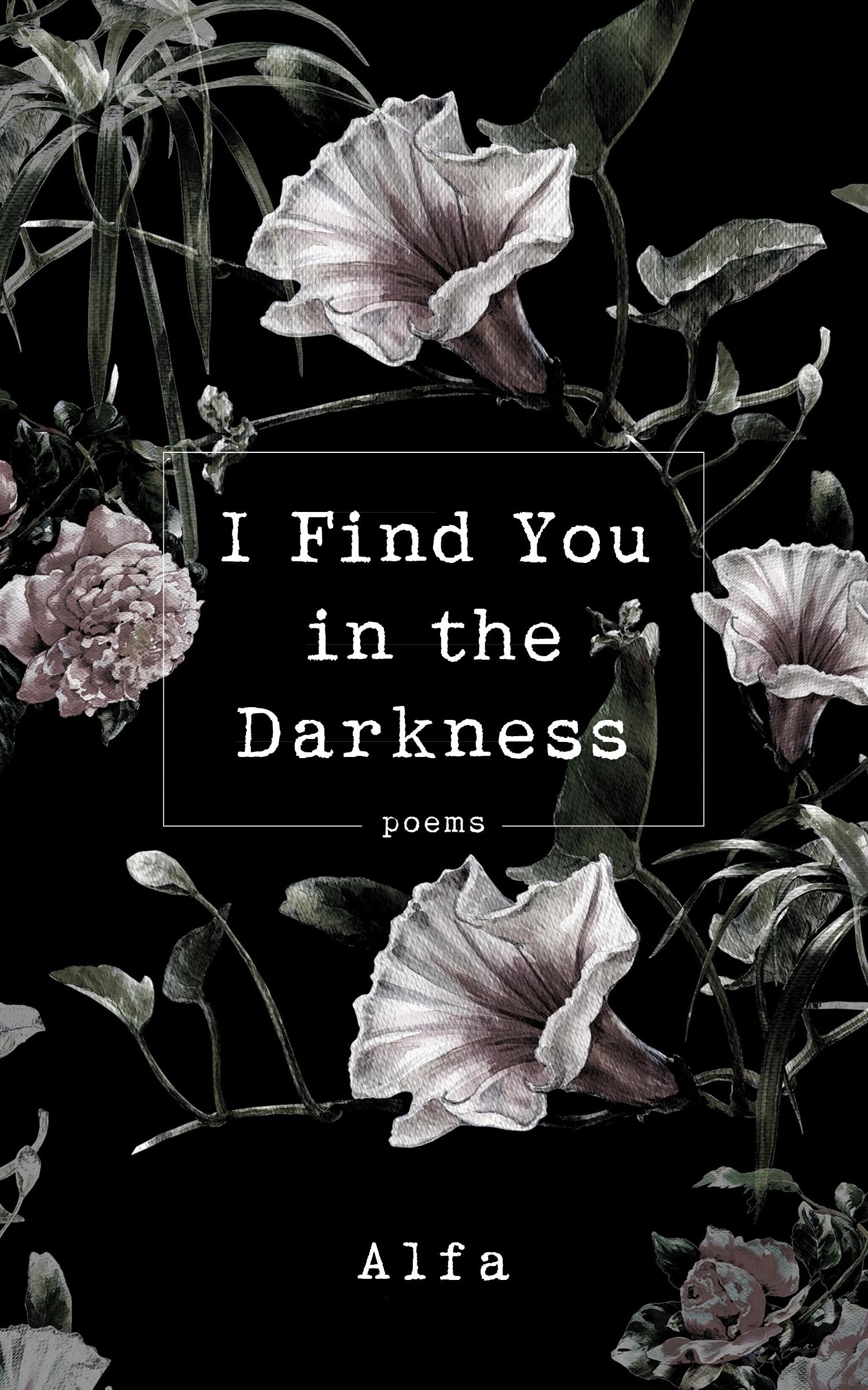 Vorderes Coverbild I Find You in the Darkness