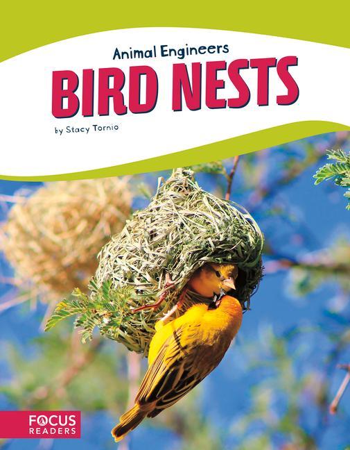 Vorderes Coverbild Bird Nests
