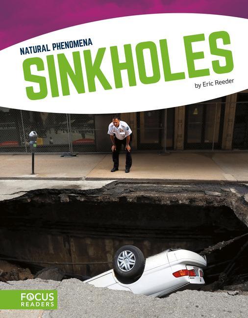 Vorderes Coverbild Sinkholes
