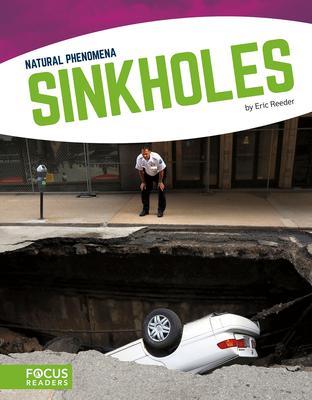 Vorderes Coverbild Sinkholes