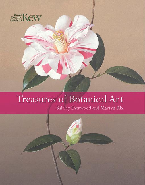 Vorderes Coverbild Treasures of Botanical Art
