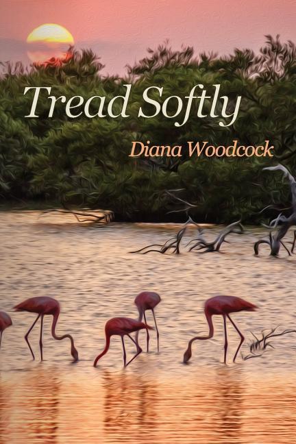 Vorderes Coverbild Tread Softly