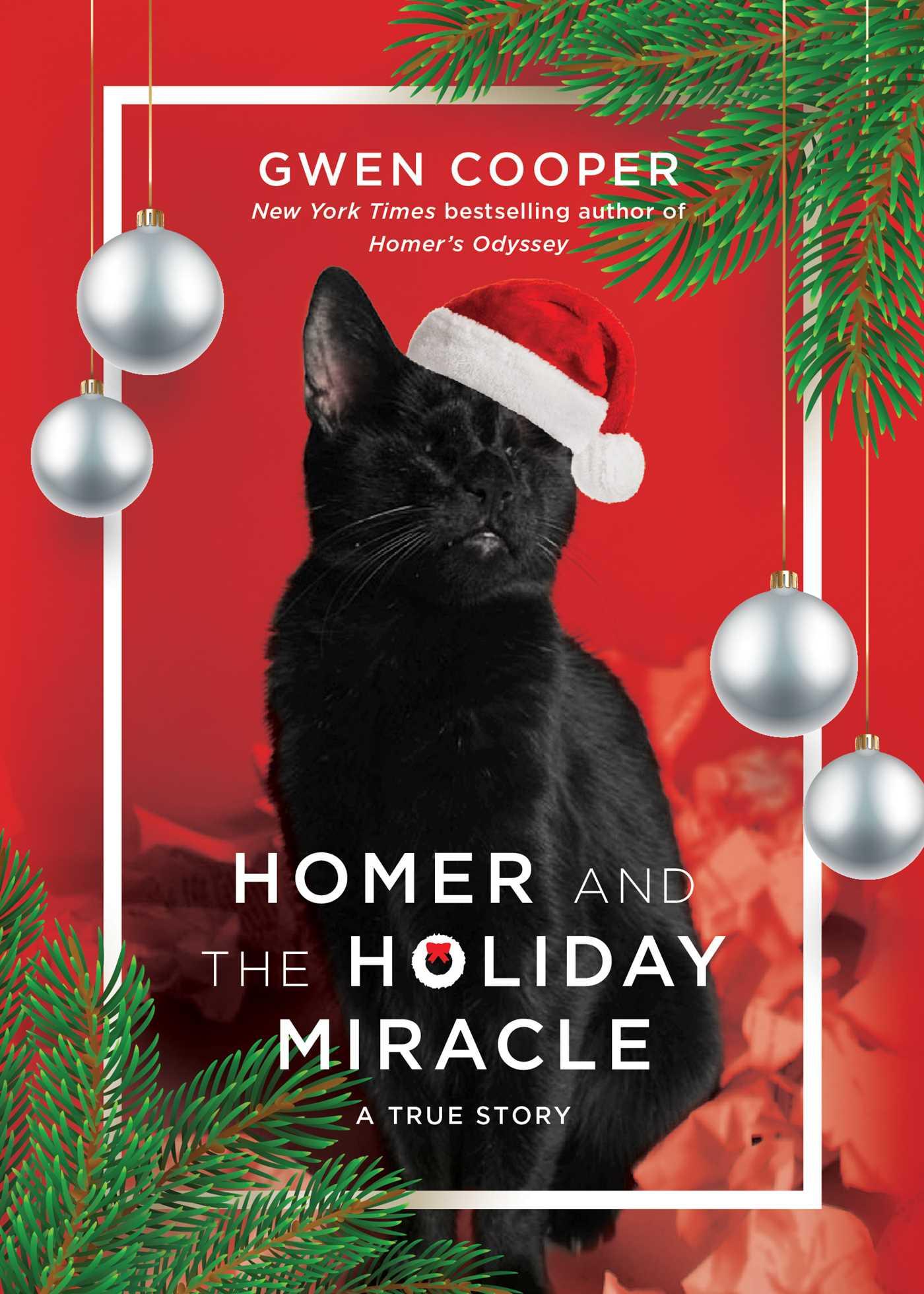 Vorderes Coverbild Homer and the Holiday Miracle