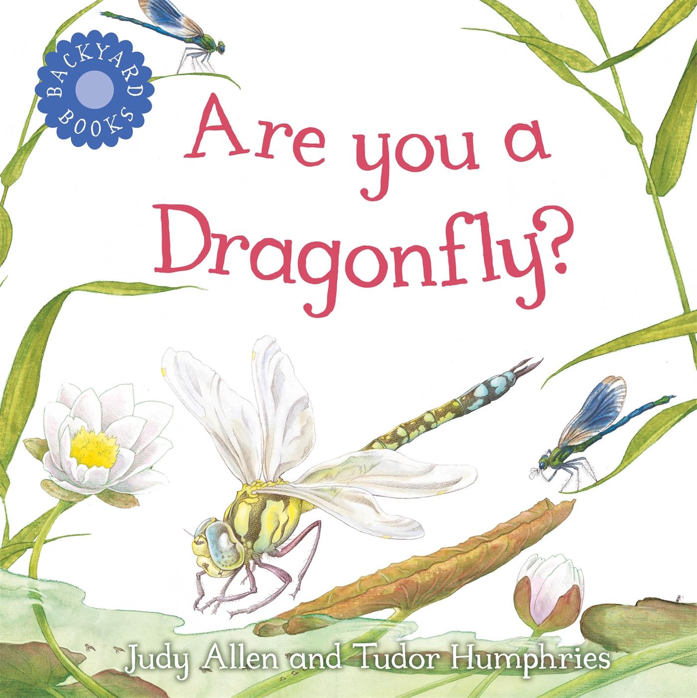 Vorderes Coverbild Are You a Dragonfly?