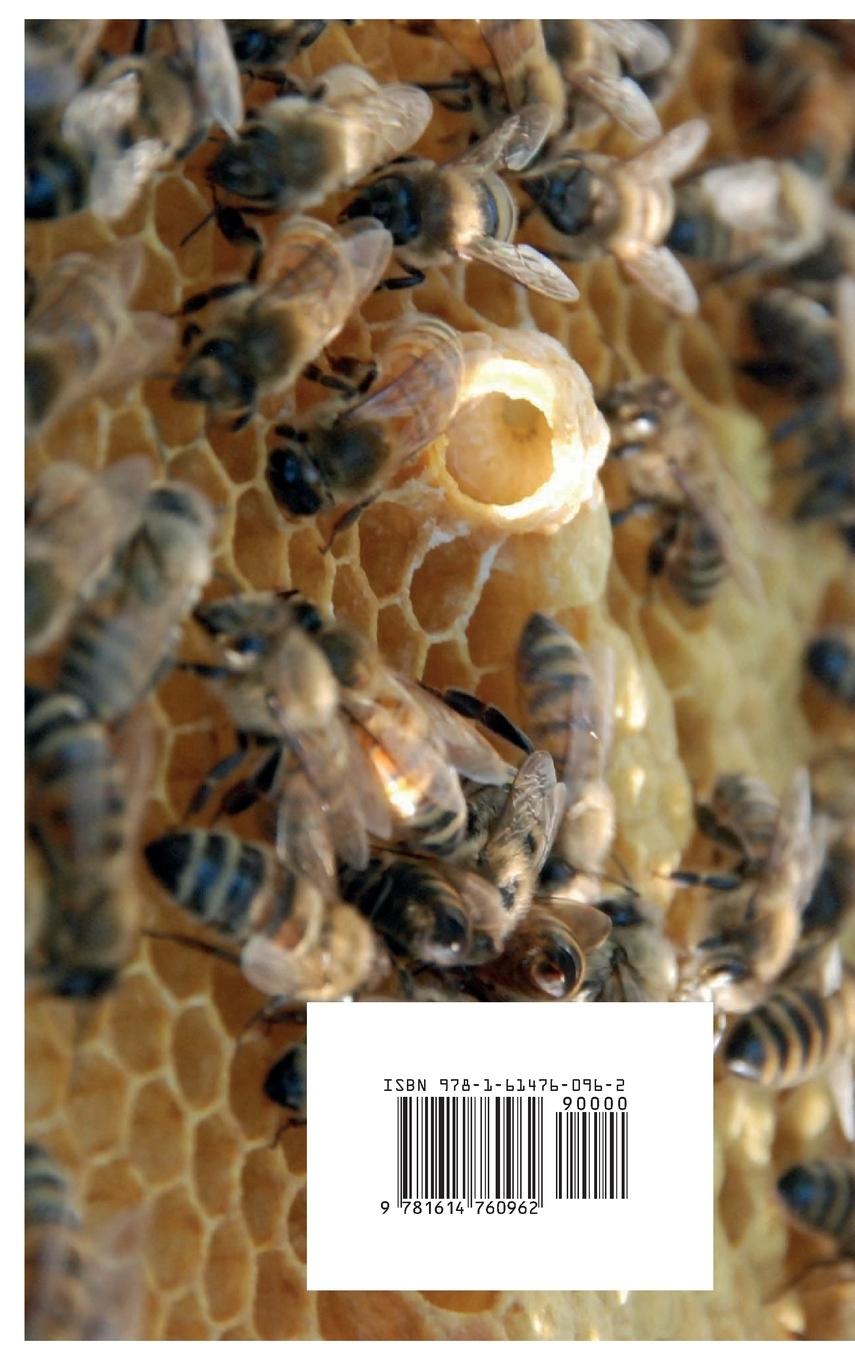 Rückseitencover L'apiculteur  Pratique