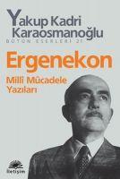 Vorderes Coverbild Ergenekon Milli Mücadele Yazilari