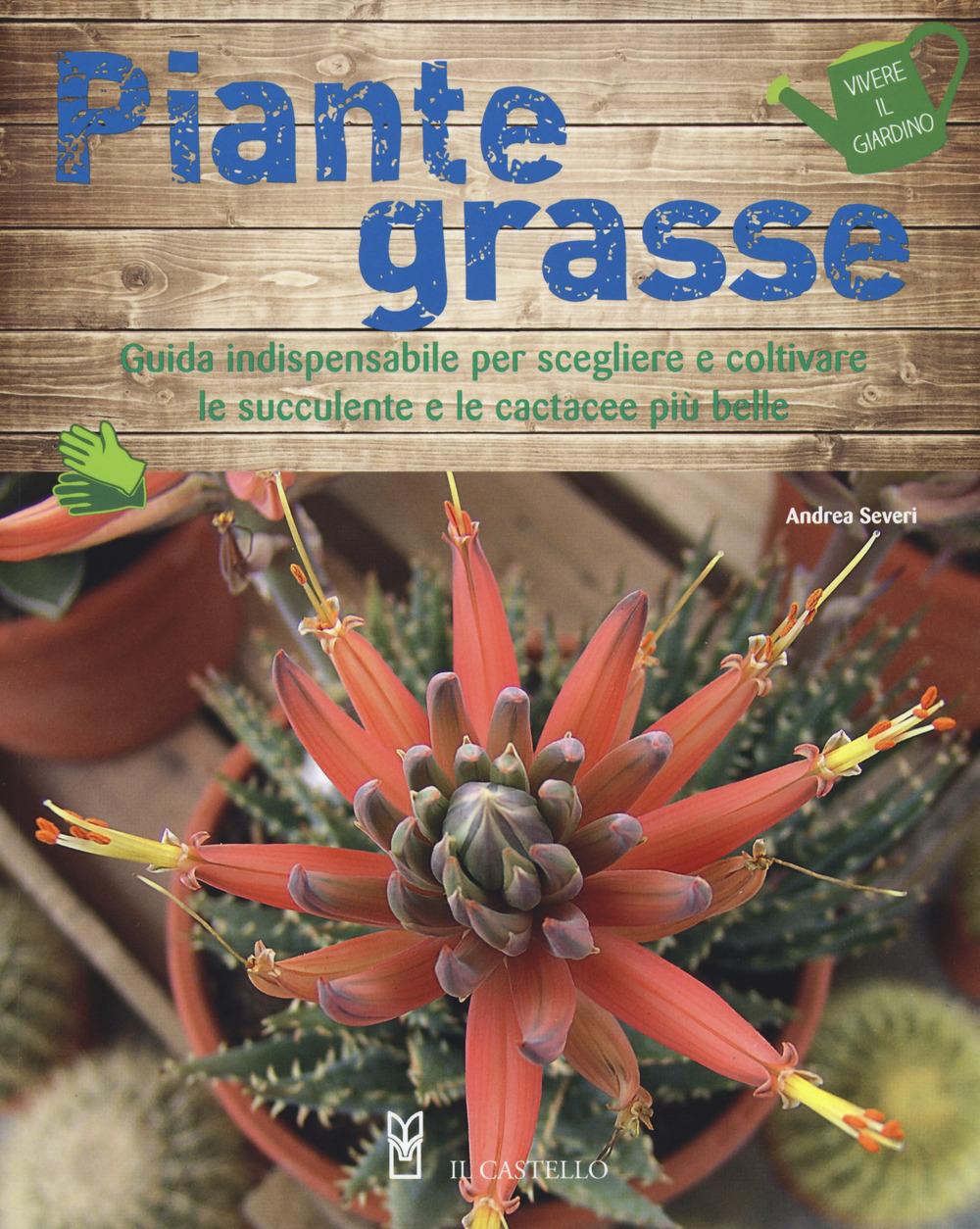 Vorderes Coverbild Piante grasse