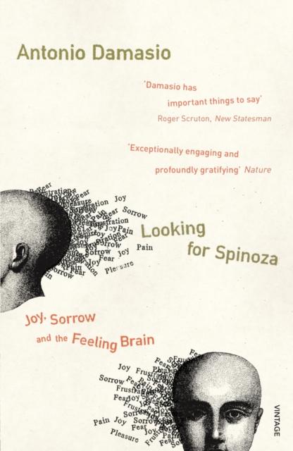 Vorderes Coverbild Looking For Spinoza