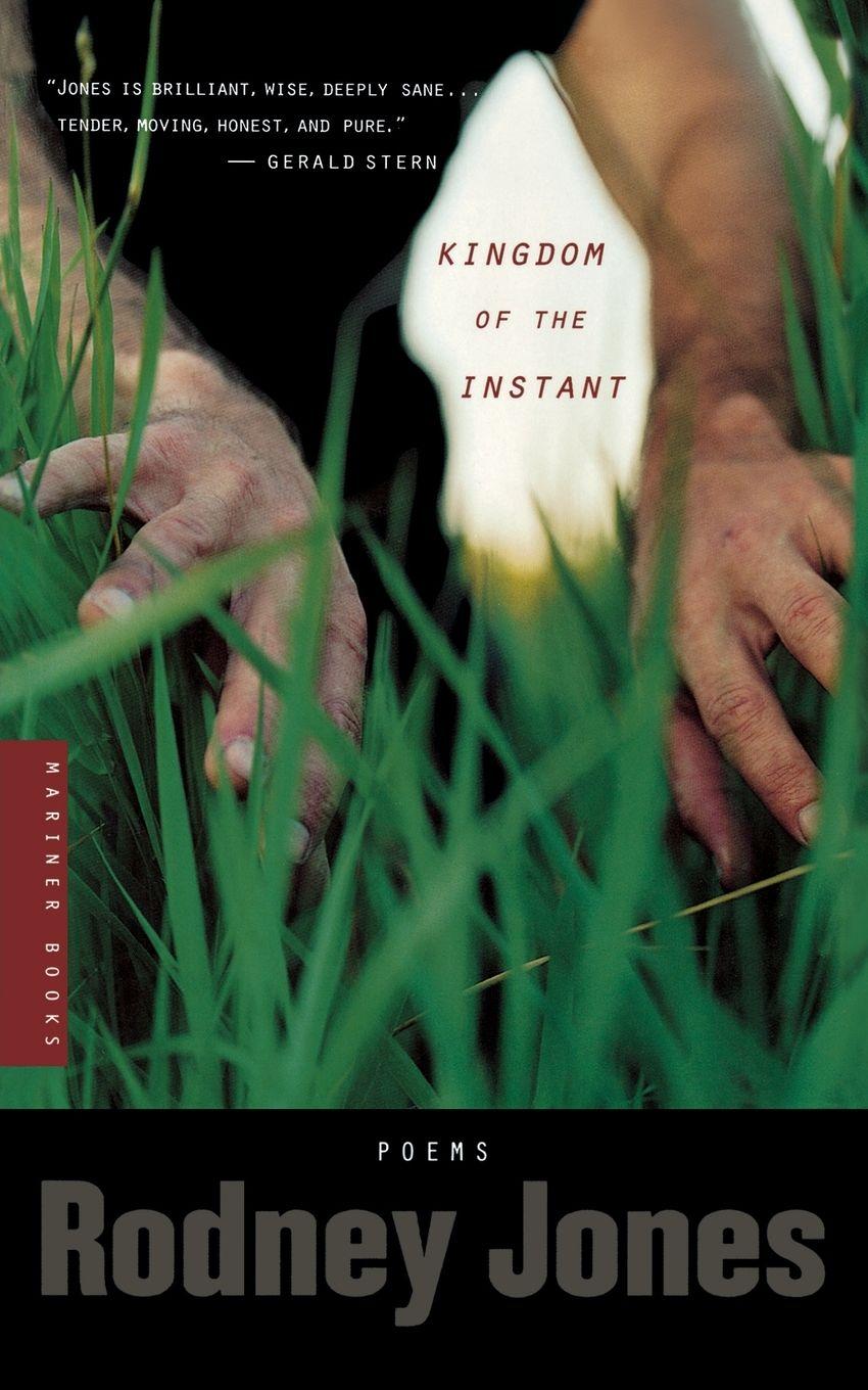 Vorderes Coverbild Kingdom of the Instant