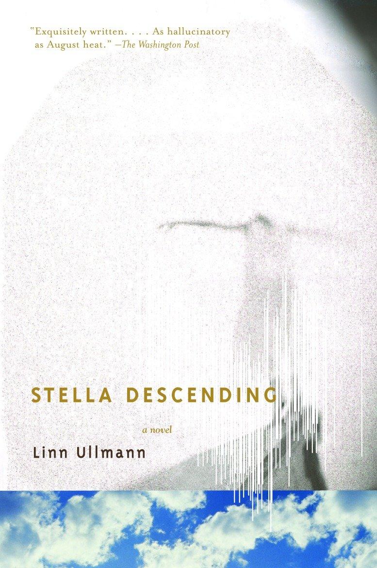 Vorderes Coverbild Stella Descending