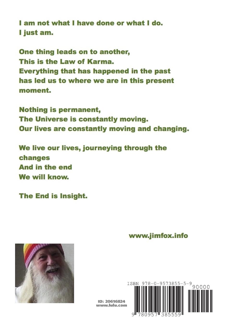 Rückseitencover The End Is Insight