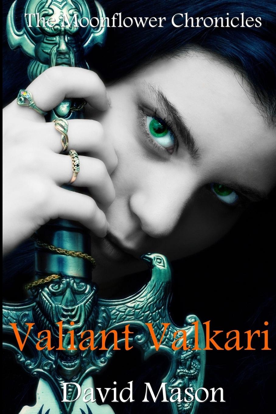 Vorderes Coverbild Valiant Valkari