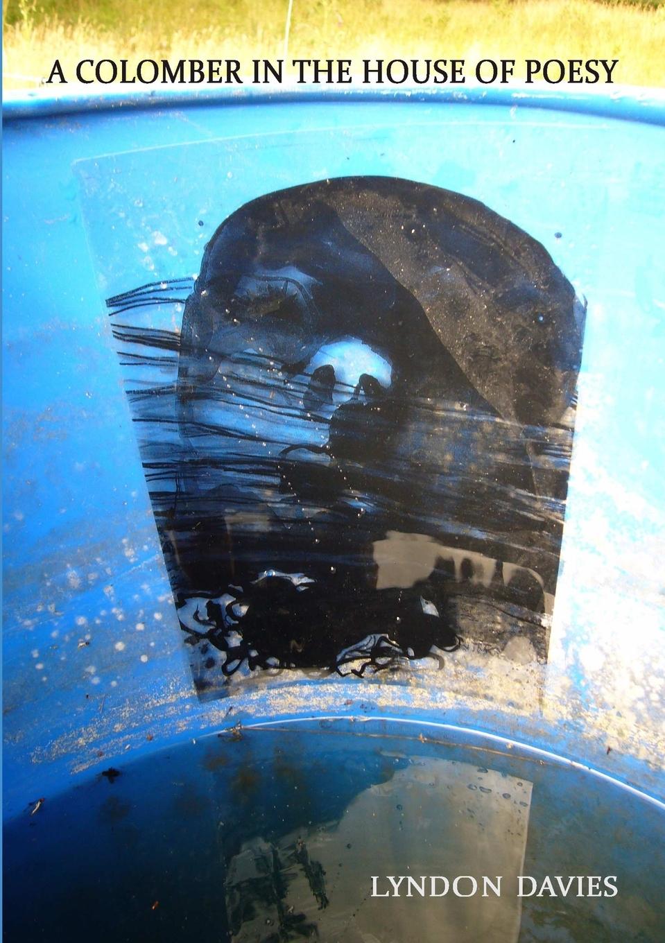 Vorderes Coverbild A Colomber In The House Of Poesy