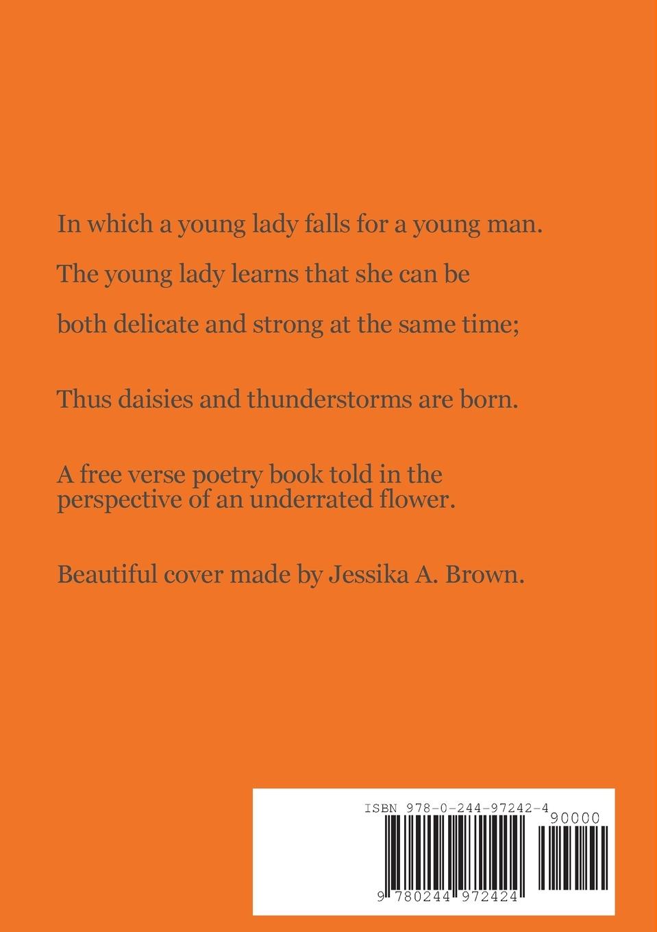 Rückseitencover When Daisies and Thunderstorms Collide