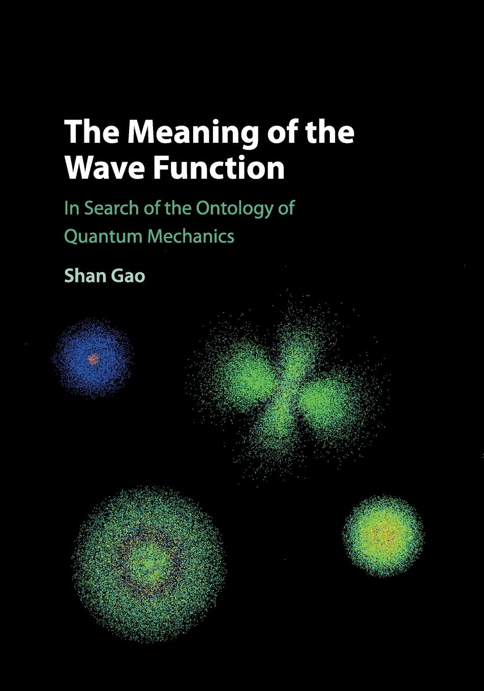 Vorderes Coverbild The Meaning of the Wave Function