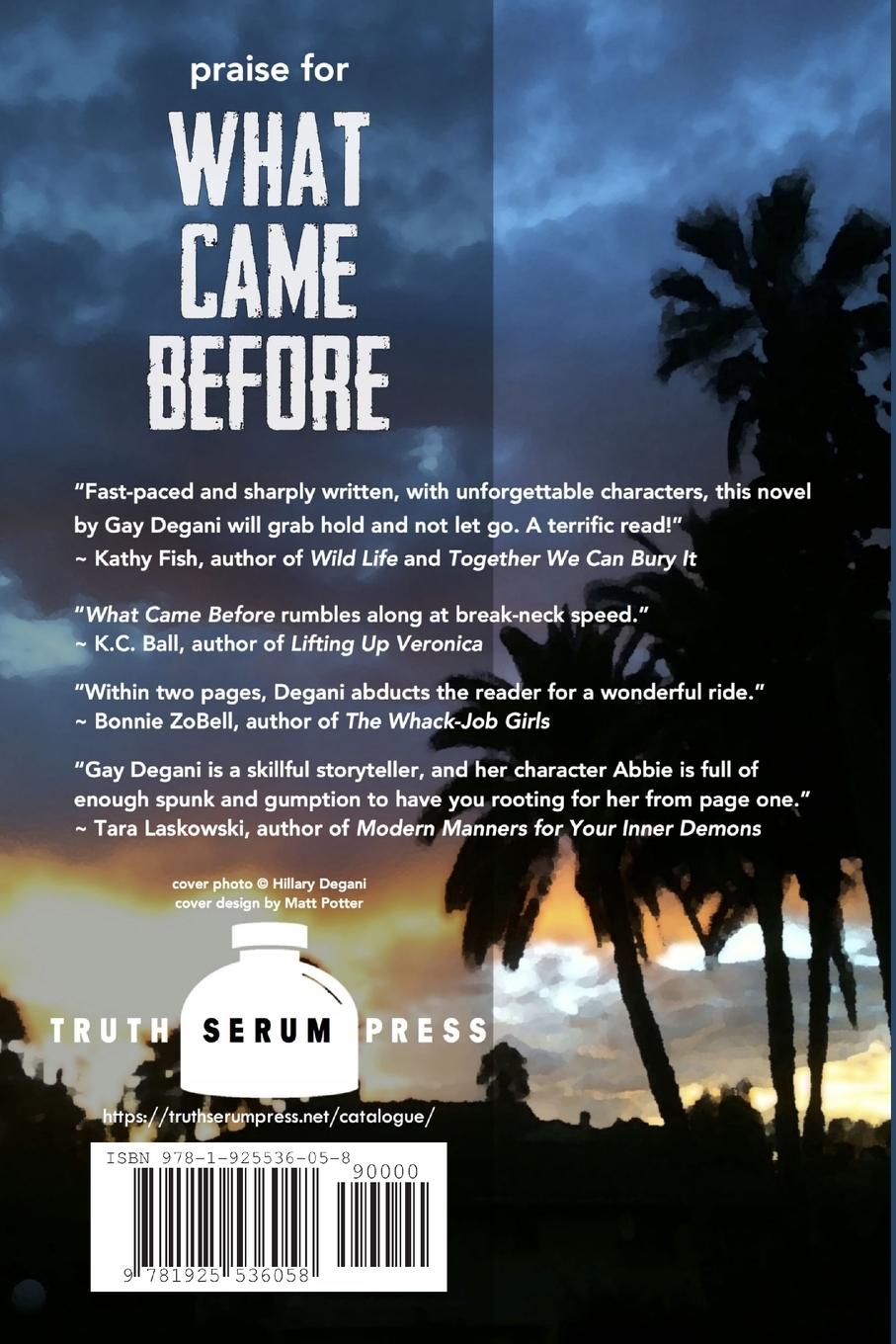 Rückseitencover What Came Before