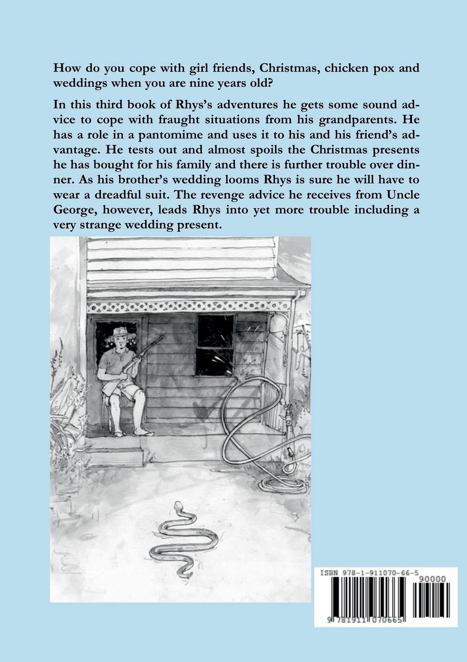 Rückseitencover Disasters and Delights of Family Celebrations